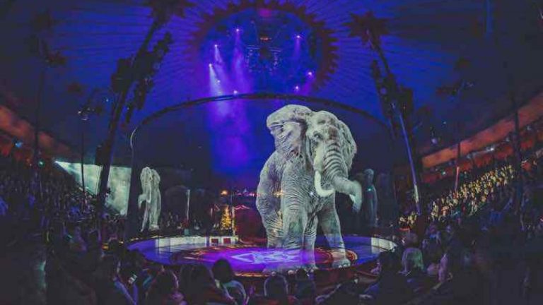 Hologramas 3D, la alternativa a la explotación animal en los circos