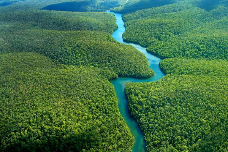 Brasil – Huawei impulsa proyecto para conectar el Amazonas con fibra óptica