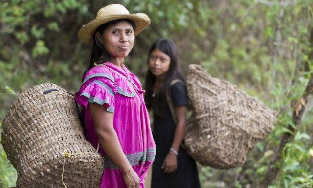 Perú | Proyecto ‘Mujeres en Red’ de Movistar es reconocido como caso de éxito en promoción de igualdad de género