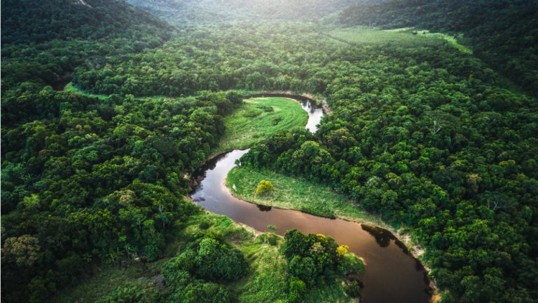 Brasil | MCTI vai investir R$ 380 milhões em programas de inovação na região amazônica