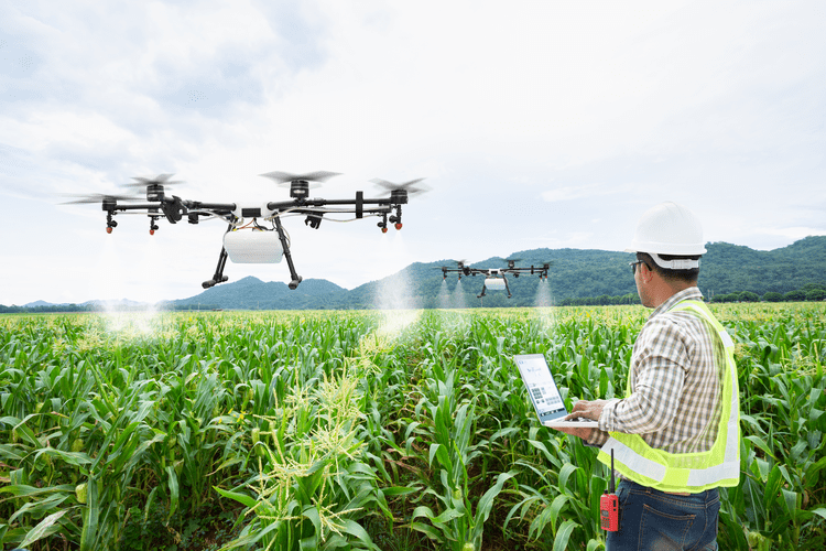 Iniciativa de nube rural busca acelerar la transformación digital de las granjas en EUA