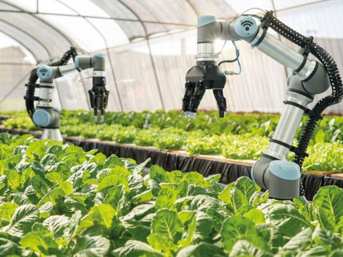 Llevarán tecnologías 4.0 a la agroindustria brasileña con millonaria inversión | DPL News