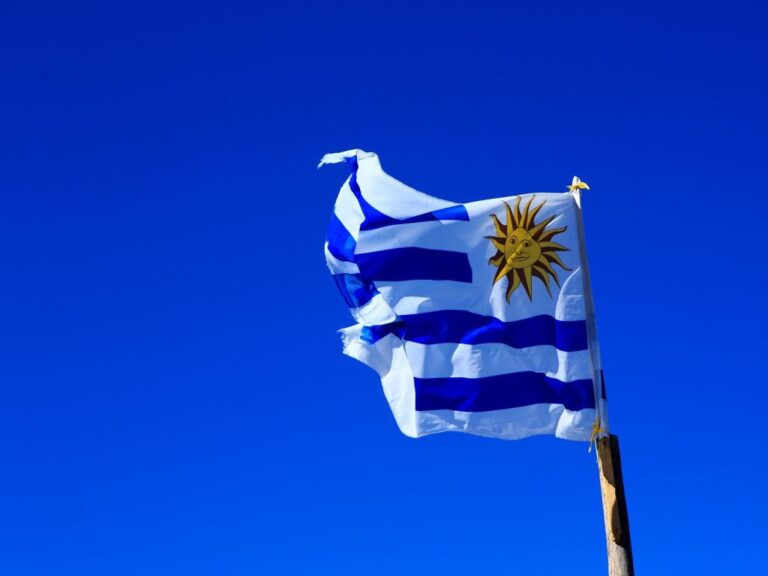 Uruguay | La portabilidad numérica se pondrá en juego en el referéndum por la LUC