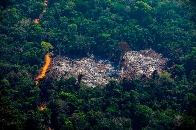 Huawei identificará deforestación e incendios en el Amazonas con Inteligencia Artificial