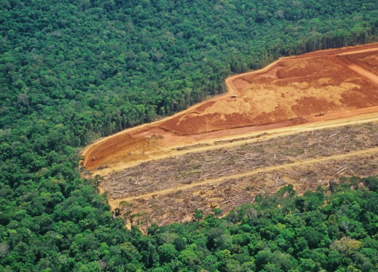 Huawei vai lançar solução com IA para identificar desmatamento e queimadas na Amazônia