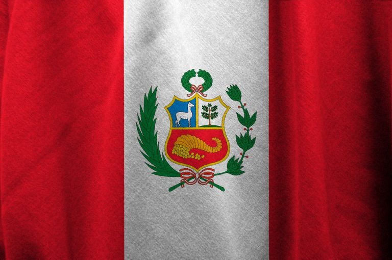 Proponen crear Consejo Nacional de Seguridad en Perú
