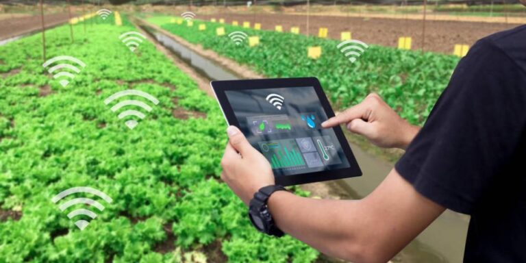 Brecha de seguridad en IoT podría ser trágica para la agroindustria