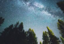 Lenovo lleva CO2 Offset Service a América Latina para impulsar reducción de huella de carbono