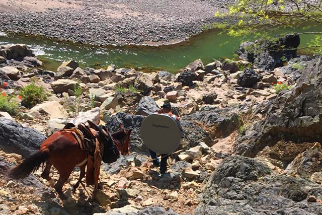 dplnews HughesNet caballo mc181023