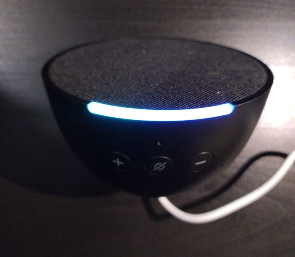 dplnews echo pop 4 dn020424