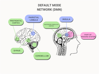 dplnews mental health sd090724