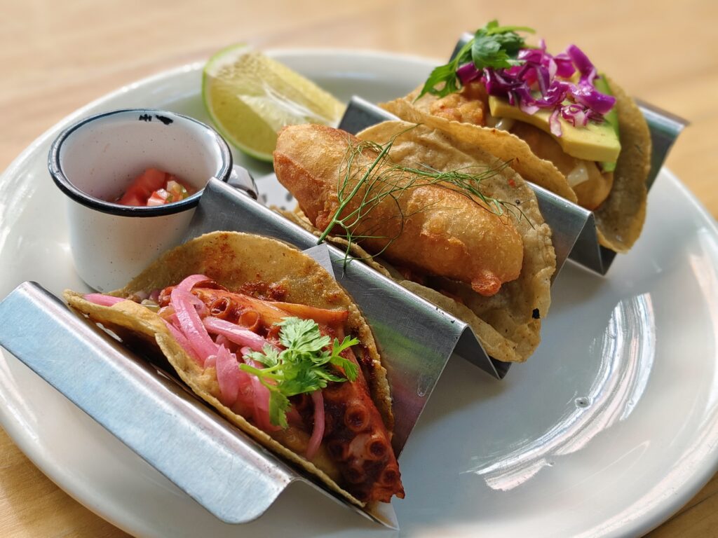 dplnewsvivoV30comida1 rp2024