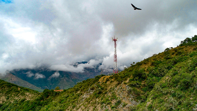 Entel Bolivia llega a 6.6 millones de usuarios e Internet y telefonía móvil 1 dplnewsEntelBolivia rp06082024