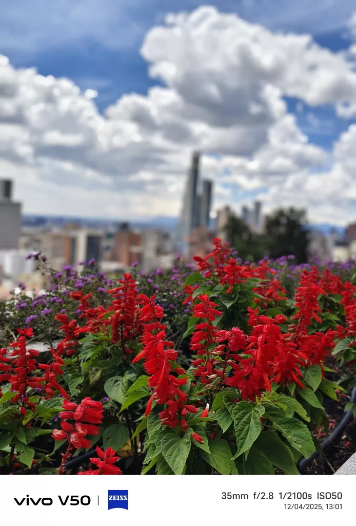 dplnews Vivo V50 foto mc30525