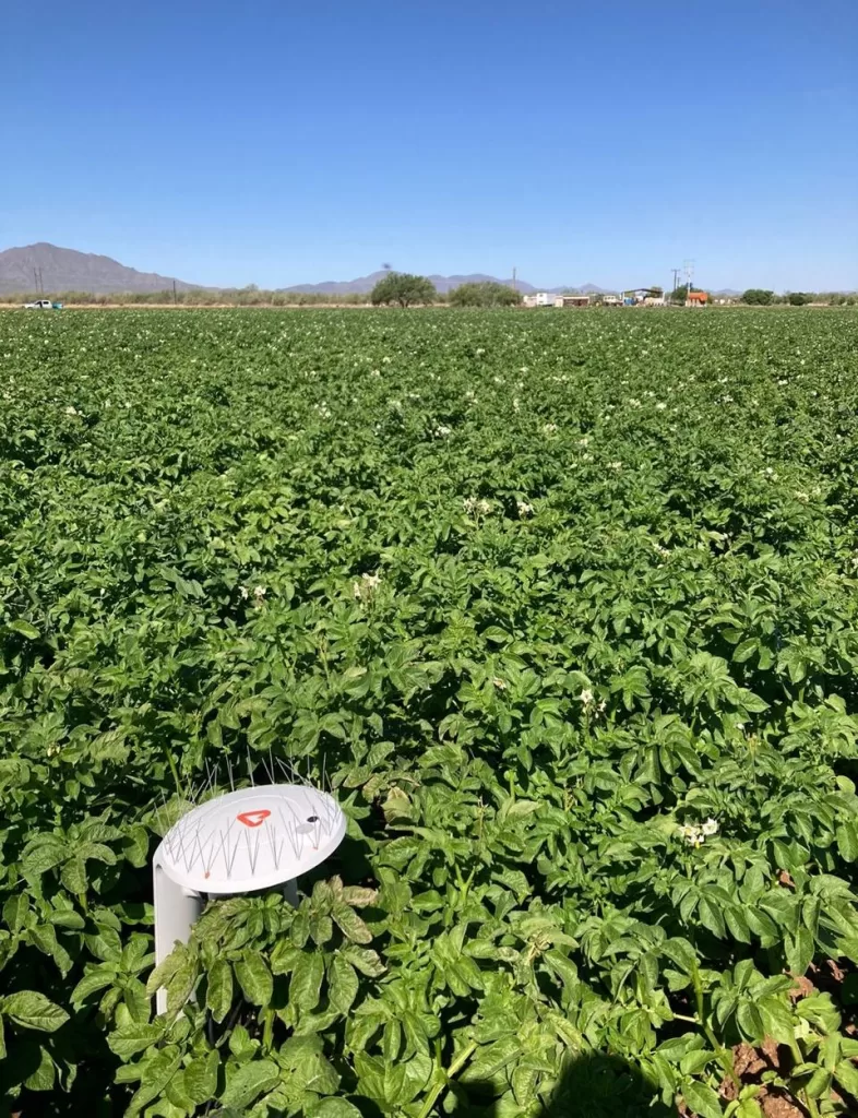 dplnews Carlota dn310725 1