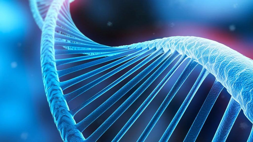 dplnews ADN dn261225