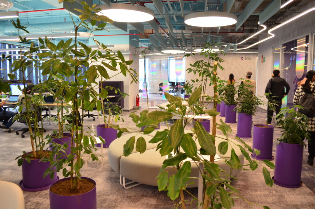 dplnewsNuMexico rp16042026