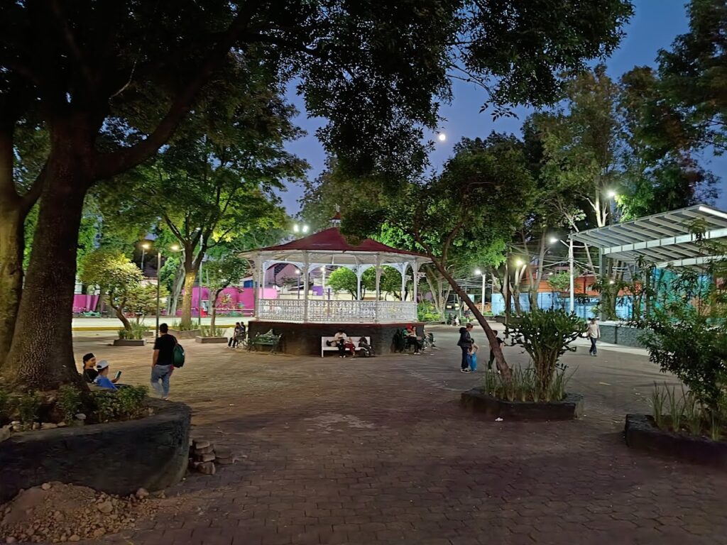 moto g67 parque